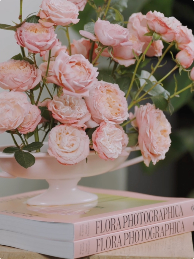 Danaé Panchaud – gallery image 1