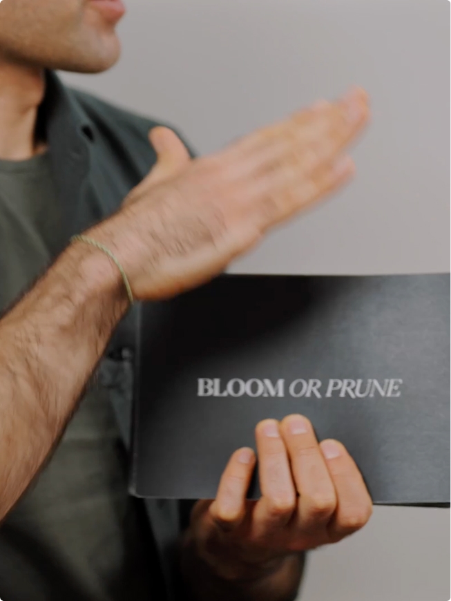 Danaé Panchaud – gallery image 5