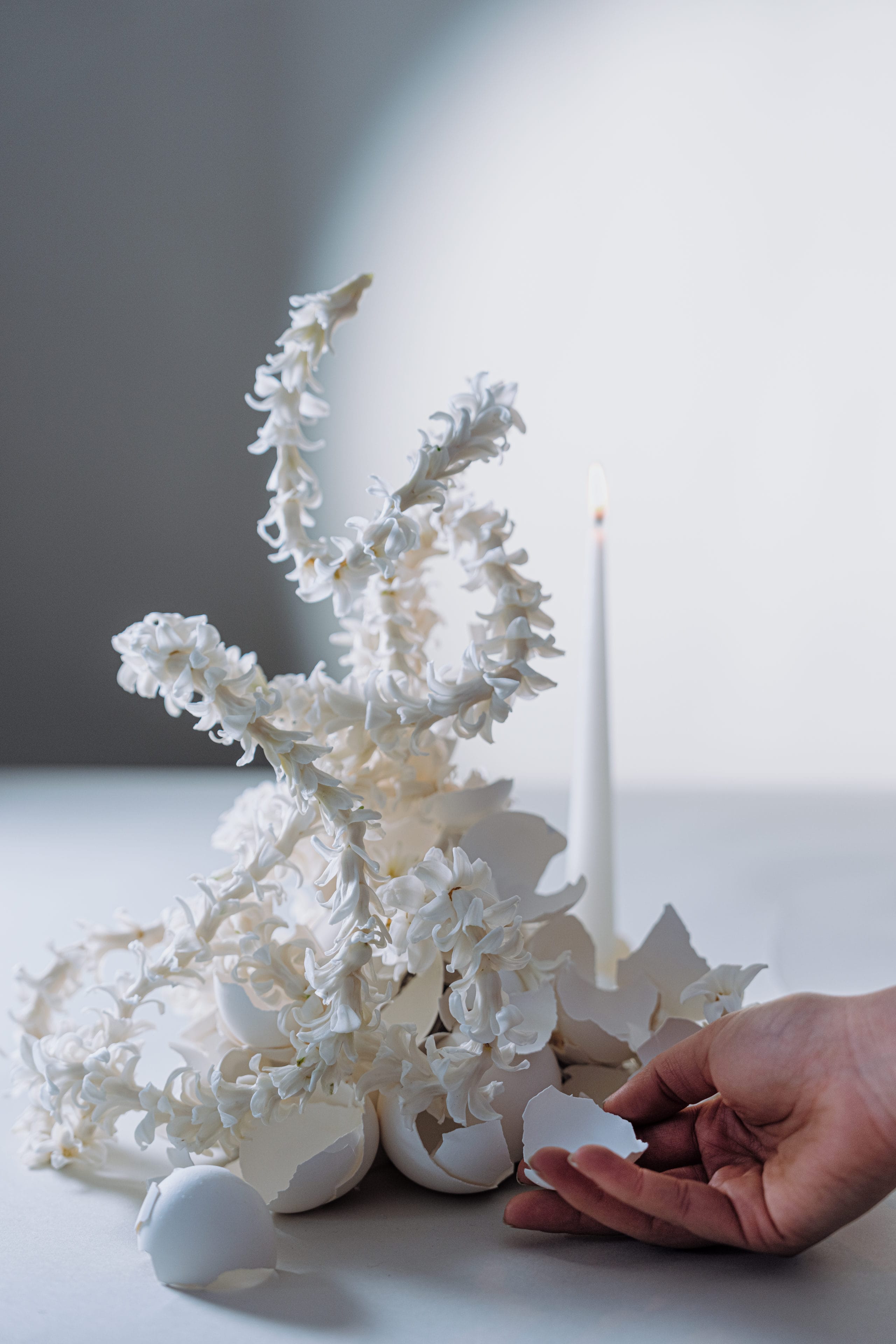 Easter flowers: 10 symbolic choices & their meanings (2026) 6 Dsc02749