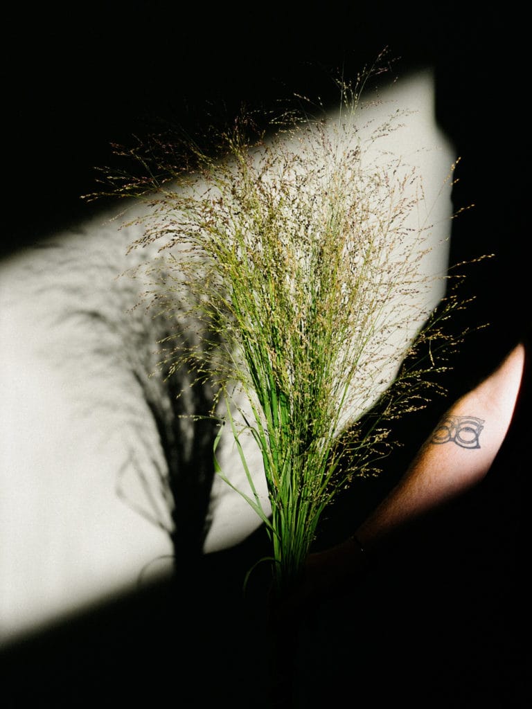 Blooming haus 03 resized